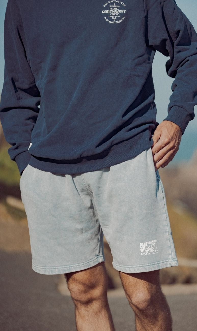 BLEU REQUIN